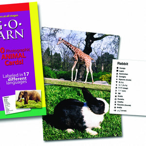 Lang-O-Learn Animal Cards- rabbit and giraffe