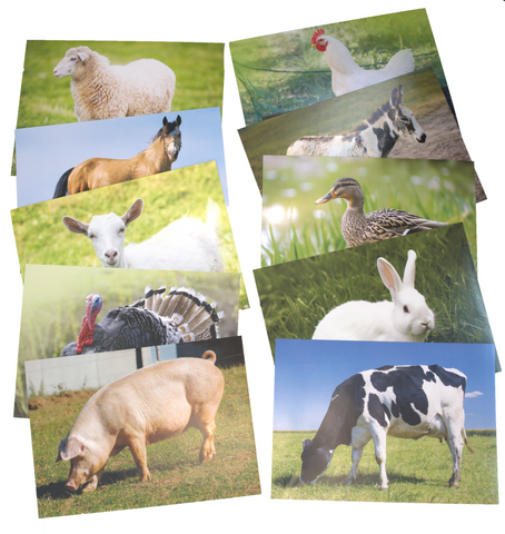 Farm Animals Poster Set