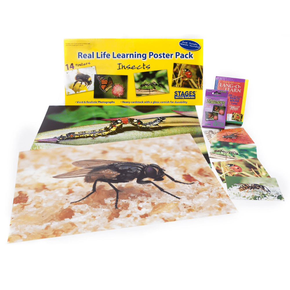 Insects & Bugs Theme Kit