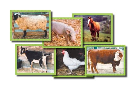 Farm Animal Puzzle for Vocabulary and Knowledge of Animals