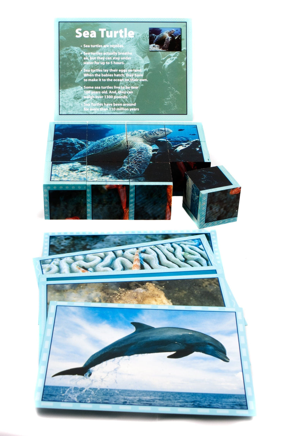 Sea Life Puzzle