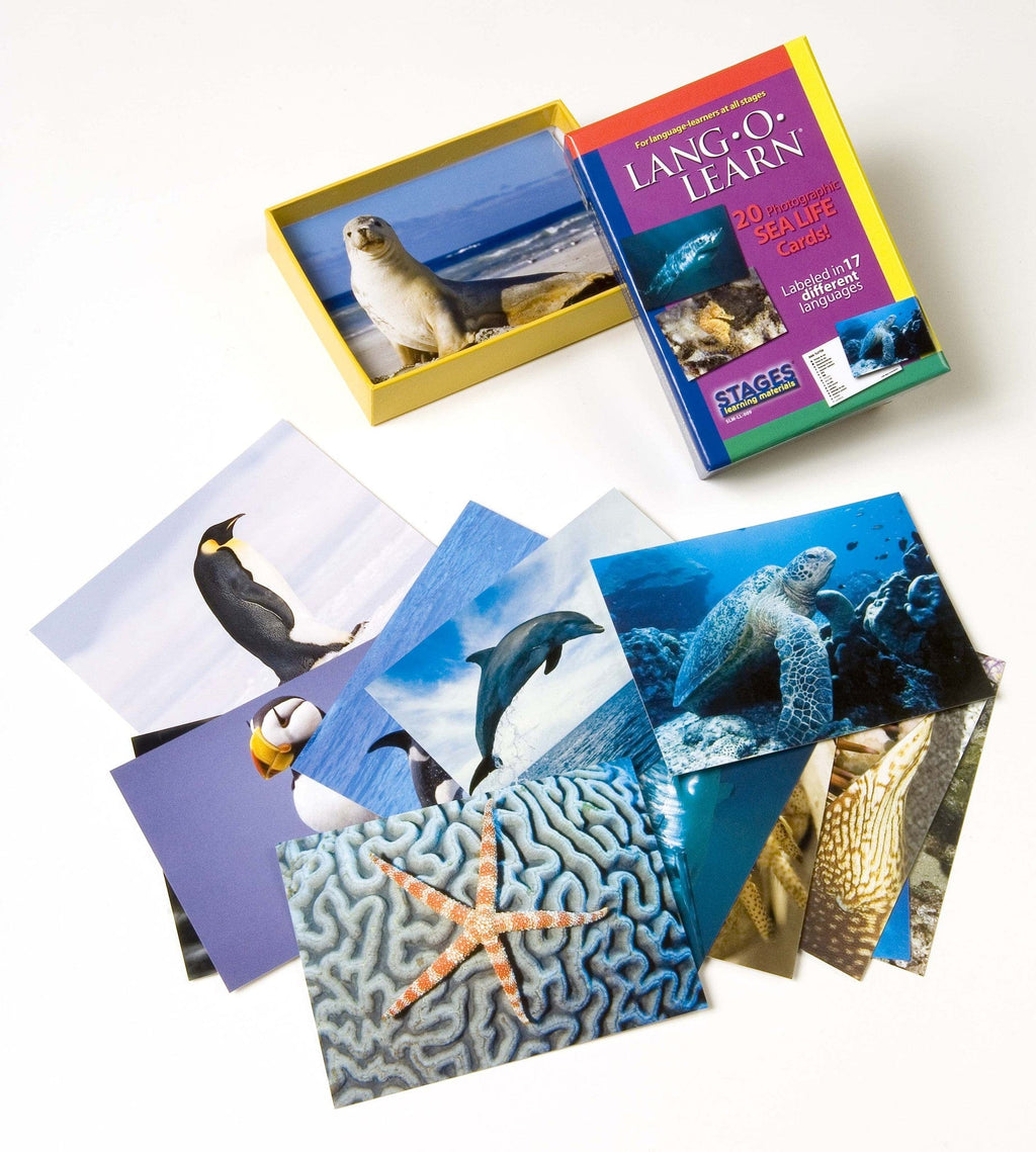 Lang-O-Learn Sea Life Cards